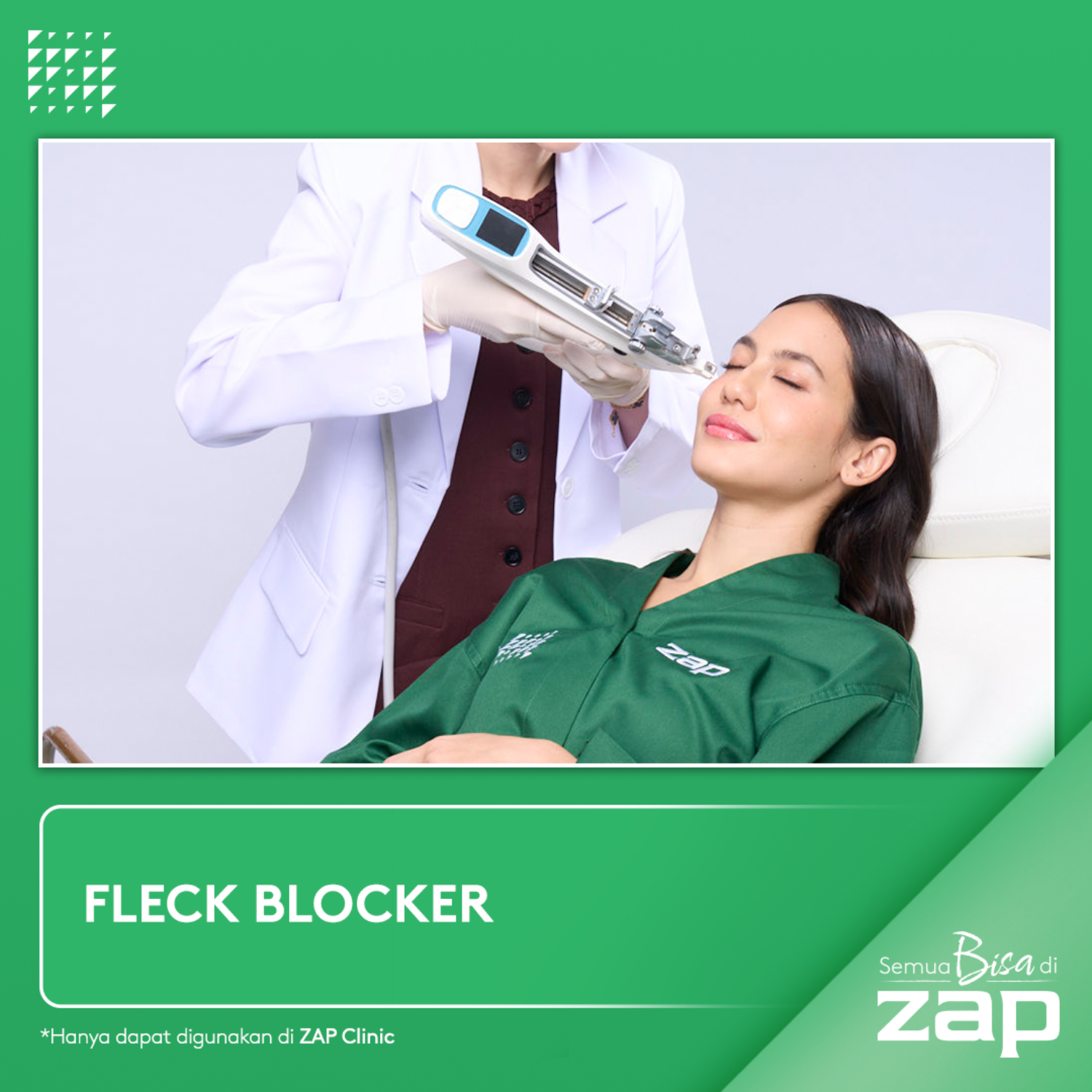 Fleck Blocker ZAP